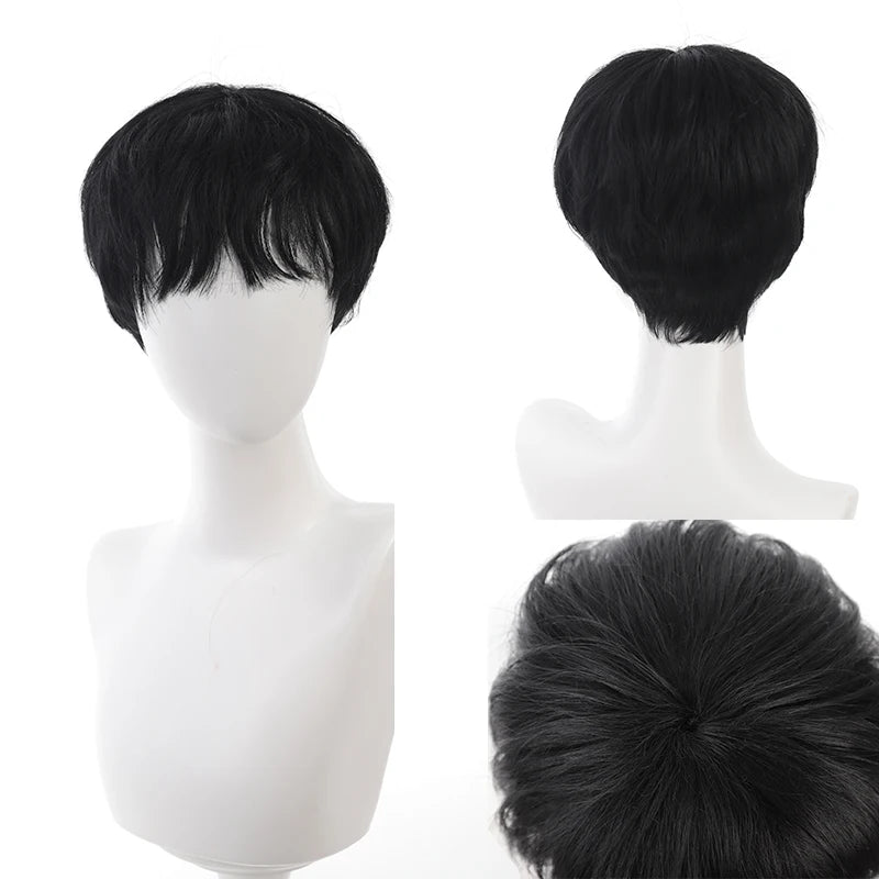 Handsome Korean Boys' Black Short Straight Wig Synthetic Wig Slightly Broken Cover Fluffy for Halloween Daily Party